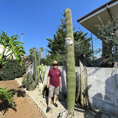 Fellini 3* Gallipoli