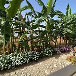Fellini Bed and Breakfast Gallipoli