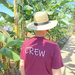 Fellini 3* Gallipoli