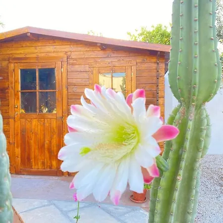 Fellini Bed & Breakfast Gallipoli