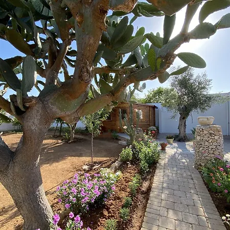 Fellini فندق مبيت وإفطار 3*