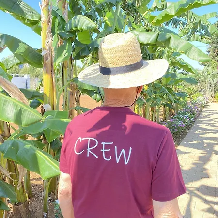 Fellini 3* غالّيبولي