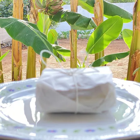 Fellini فندق مبيت وإفطار 3*