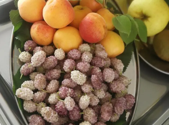 Bed & Breakfast Fellini 3*