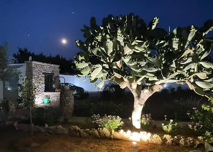 Fellini 3* Gallipoli