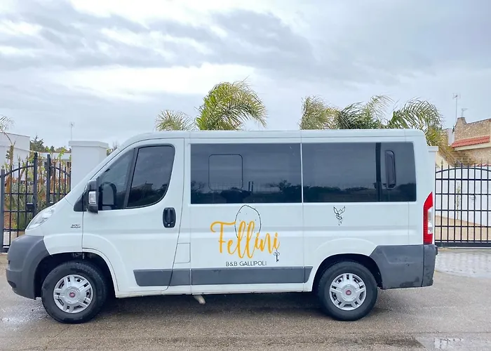 Fellini Bed & Breakfast 3*