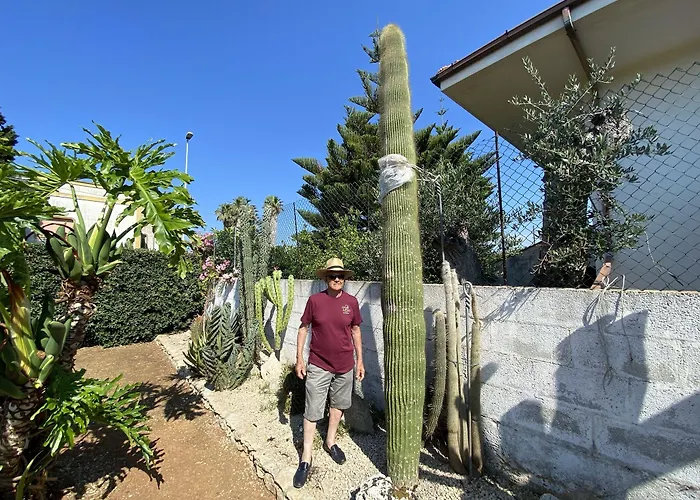 Fellini 3* Gallipoli