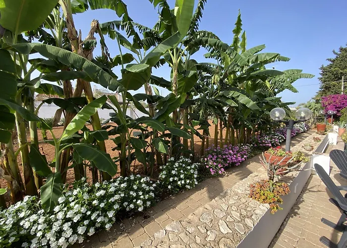 Bed & Breakfast Fellini 3*